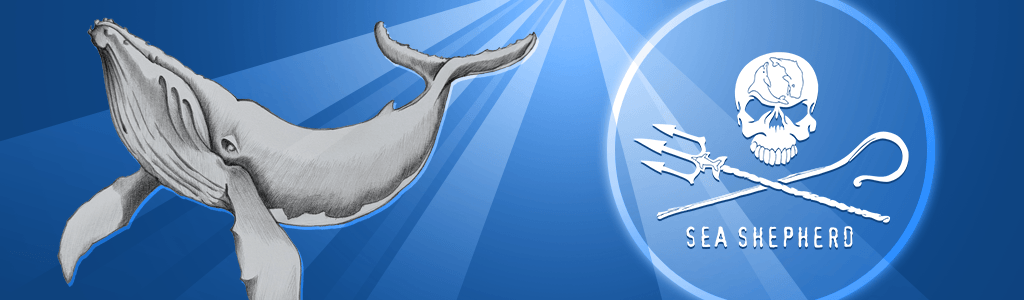 Picture of the article: Seal Wars, 25 ans sur la ligne de front - Paul Watson