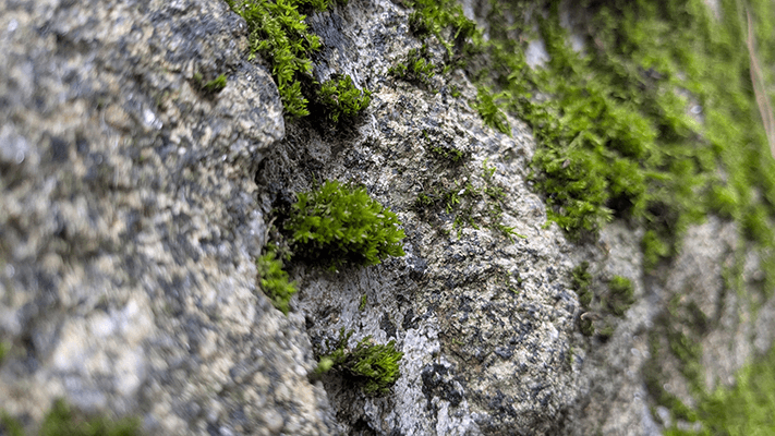 Picture of the news: `31st ex(amples)` Github repo