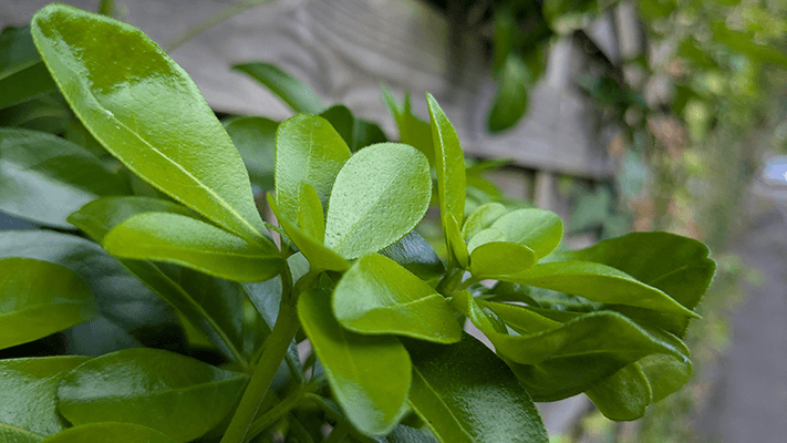 Picture of the news: Tools: Tailwind button online generator